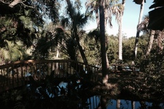 Privat-Island-on-the-Natural-Lake